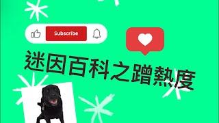 最抄襲的一集️️“蹭熱度“是什麼迷因【迷因百科】（沒有這個迷因）#迷因#迷因百科#蹭熱度