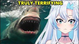 Sharks Are Unbelievable And Here's Why || Casual Geographic React