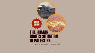 Chris Sidoti - The Human Rights Situation in Palestine