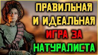 Взгляд по новому! Правильная прокачка роли "Натуралист" в Red Dead Online!