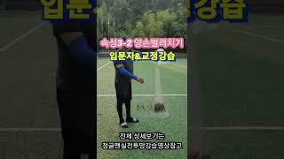 ●속성투망강습3-2●양손벌려치기●투망던지는방법●투망배우기●#Shorts