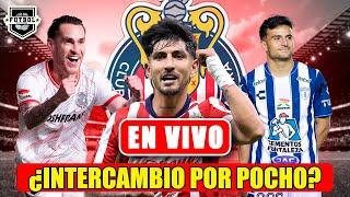  ÚLTIMOS RUMORES CHIVAS | ¡POCHO MONEDA DE CAMBIO! | ¡AMAURY REACCIONA! | ¡OPERAN A MOZO!