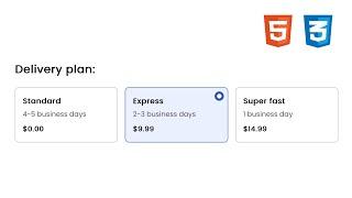 How to Create Custom Radio Button / Card using HTML & CSS