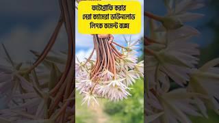 photography best camera download|LMC8.4|gcam|এলএমসি ক্যামেরা| #viral #photography #mobilephone