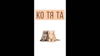 Кошка Кот и Котята!  Как легко научить читать ребенка. Развитие речи.|Обучалки Буква+|#shorts