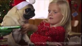 Michael Bublé - "CD Christmas" - Comercial de TV - Propaganda com Pug