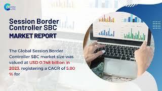 Session Border Controller SBC Market Report 2024 (Global Edition)