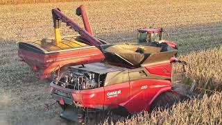 Unleashing the ALL-NEW Case IH AF10 Combine in Action! | Central IL Harvest 2024