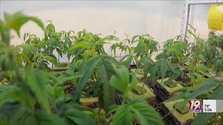 Advocates Push for Special Marijuana Session | October 9, 2023 | News 19 at 5 p.m.