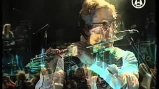 Аквариум - с той стороны зеркального стекла (2П Live 2010)