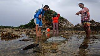 Matinding Habulan sa Malalaking Isda na Nahibasan