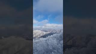 덕유산 향적봉 눈꽃산행 #shorts #등산 #눈꽃 ️