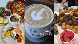 [Vlog] 세 여자의 양양 글램핑 | 양양 오일장 구경 | 브런치 | 양양 시장 간식 | 글램핑장 추천 | 카페 탐방 | 글램핑브이로그 ️| 여름 국내 여행