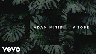 Adam Mišík - V Tobě (Official Lyric Video)