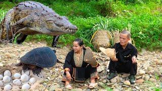 Dwarf Family Primitive Life: Harvesting grass for livestock and meals by the stream | Harvesting joy