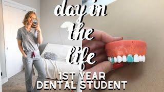 Day in the Life of a Dental Student | Waxing, Exams, and More!