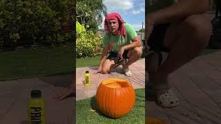Pumpkin Fish Aquarium Gone Wrong