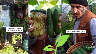 Gardening  Generational Wisdom for Sustainability  Plants and Harvest TikTok Compilation