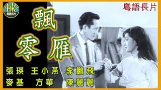 《粵語長片》飄零雁 (1965)｜張瑛｜王小燕｜李鵬飛｜麥基｜方華｜陳麗麗｜導演：張瑛｜潘藩｜香港電影｜香港粵語電影｜粵語中字