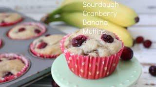 Sourdough Cranberry Banana Muffins