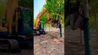 Excavator Equipped with a Cutting-Edge Tree Spade Attachment in Action!  #excavator #shorts