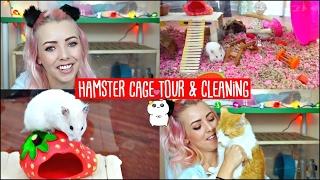 HAMSTER CAGE CLEANING & CAGE TOUR! | My Hamster is chewing her Cage
