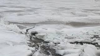 Ice drift - Ob river - 3