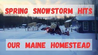 Spring Snow Storm hits our Maine Homestead