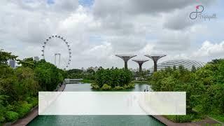 Gardens by the Bay, Singapore Guide - What to do, When to visit, How to reach, Cost  Tripspell