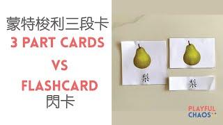 【在家蒙特梭利】三段卡與閃卡的分別（3 Part Cards vs Flashcard） - 蒙特梭利三段卡用途和用法