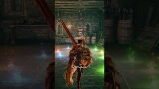 Vigor Test Passed  | Elden Ring