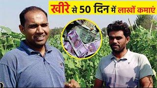 Cucumber farming | kheera ki kheti | खीरा की खेती - 50 दिन में लाखों कमाएं - R.K. Gora Agriculture