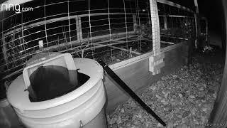 Simple Slide Bucket Lid Mouse Trap