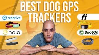 Best Dog GPS Tracker in 2024 [I Tested All of Them]