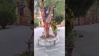 hari aise baso mere main मैं #tulsi #tulsimaa #haribol #bhaktibhajan