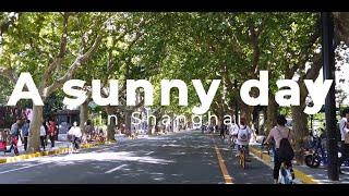 A sunny day in Shanghai - Cycling through the French Concession (4K, relaxing ambience, calming)