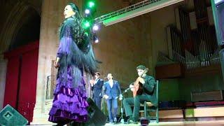 La Rhina | Festival Flamenco de Cáceres 2019 | con Perico Pañero, Javier Heredia y Ruben Lara