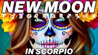 New Moon in Scorpio 2024 | All 12 Signs