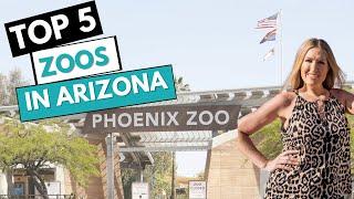 Top 5 Zoos in Arizona | Best Phoenix Arizona Attractions