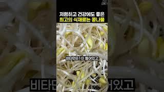 지금 콩나물을 먹어야 하는 이유 #건강 #건강정보