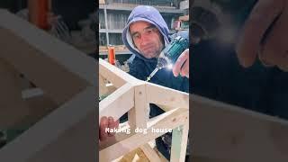 Making Dog House | Woodworking #shorts #woodtok #woodworking