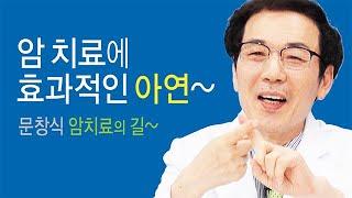암 치료의 길~암 치료에 효과적인 아연