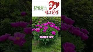 #작약꽃#해당화노래#전유진#트롯트#인천대공원#꽃