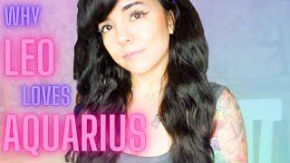 LEO AND AQUARIUS  | LOVE COMPATIBILITY | STAR COUPLE | WILL THEY WORK?!