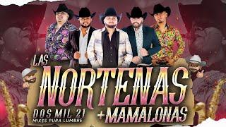 Las Norteñas Más Mamalonas del 2021 | By Dj Alfred | EXITOS 2021 | La Fiera, Rienda Real, La Fe...