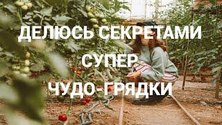 Супер Чудо грядка/ Лайфхаки/ Делайте так и получайте огромный урожай/ Делюсь секретами