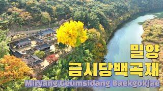 밀양 금시당백곡재 드론영상 Miryang Geumsidang Baekgokjae drone video