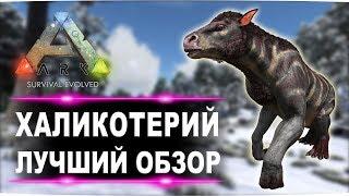 Халикотерий (Chalicotherium) в АРК. Лучший обзор: приручение, разведение и способности  в ark.