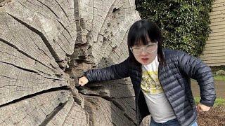 양띵의 건전피드백