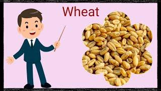 Learning Cereal Names In English || Types Of Cereals || Fun Learning || Different Types Of Cereals